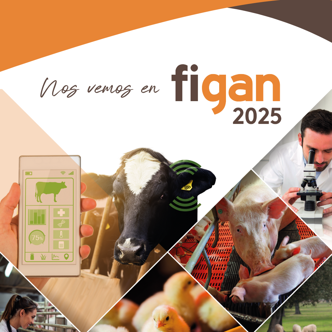 FIGAN KIT COMUNICACIÓN 1080x1080